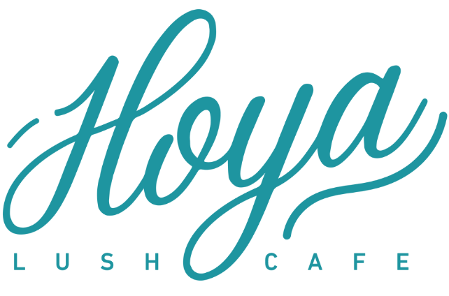 Hoya Lush Cocktail Bar Aruba